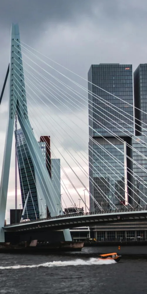 Digital and transparent income schemes